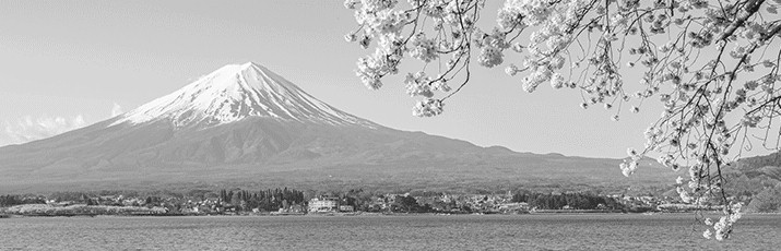 Vontobel Mehrwert Magazin